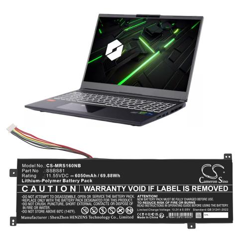 Batterij laptop mechrevo code 10
